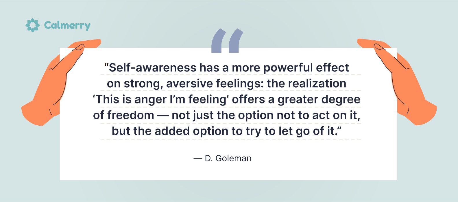Daniel Goleman self-awareness