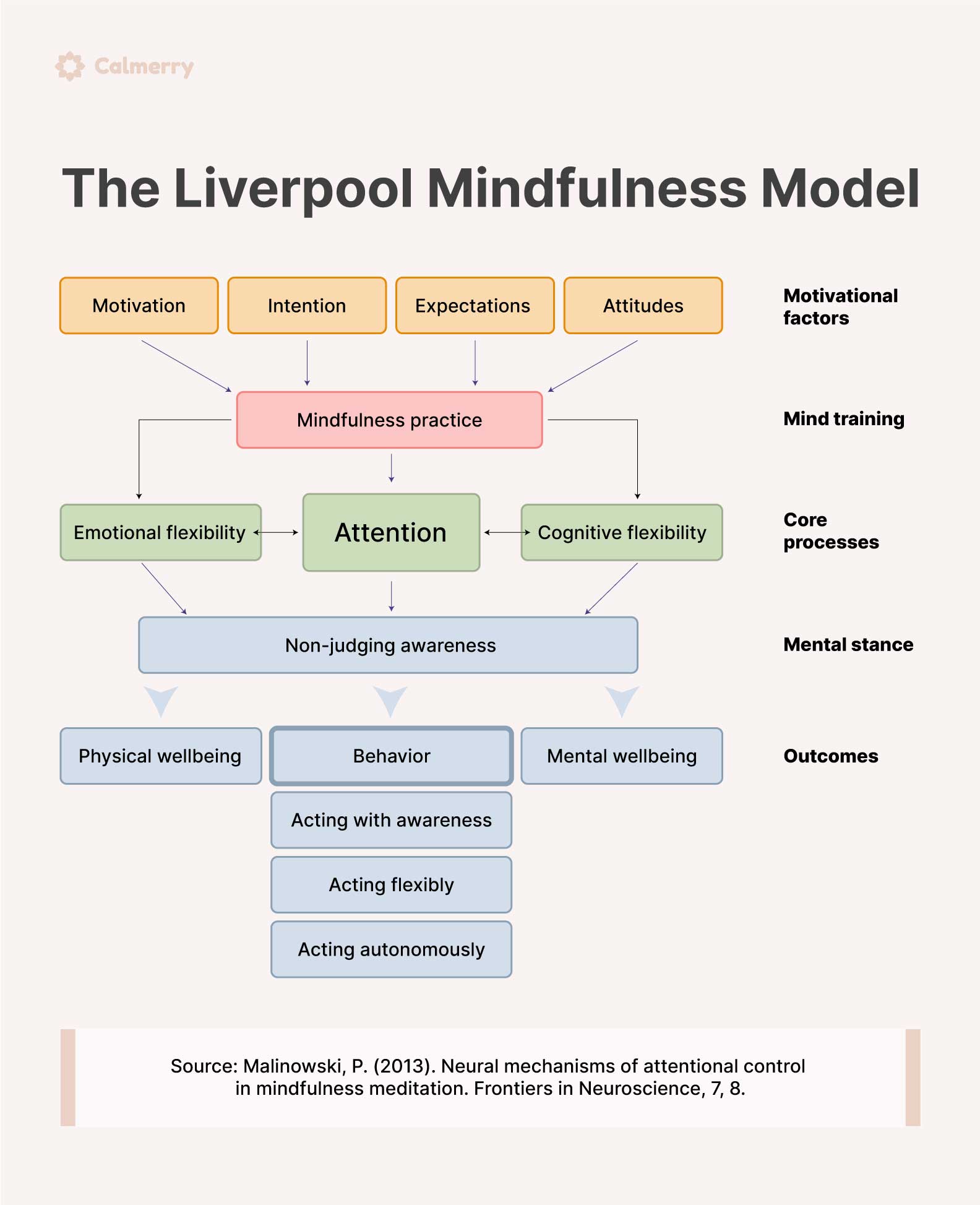 Liverpool Mindfulness Model